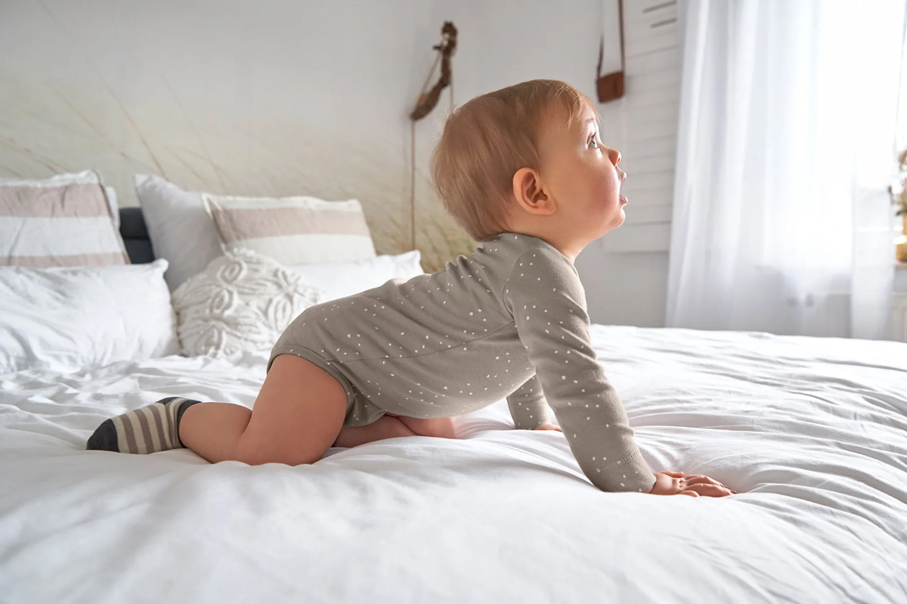 Baby Body langarm - Bio Baumwolle, Punkte, Taupe