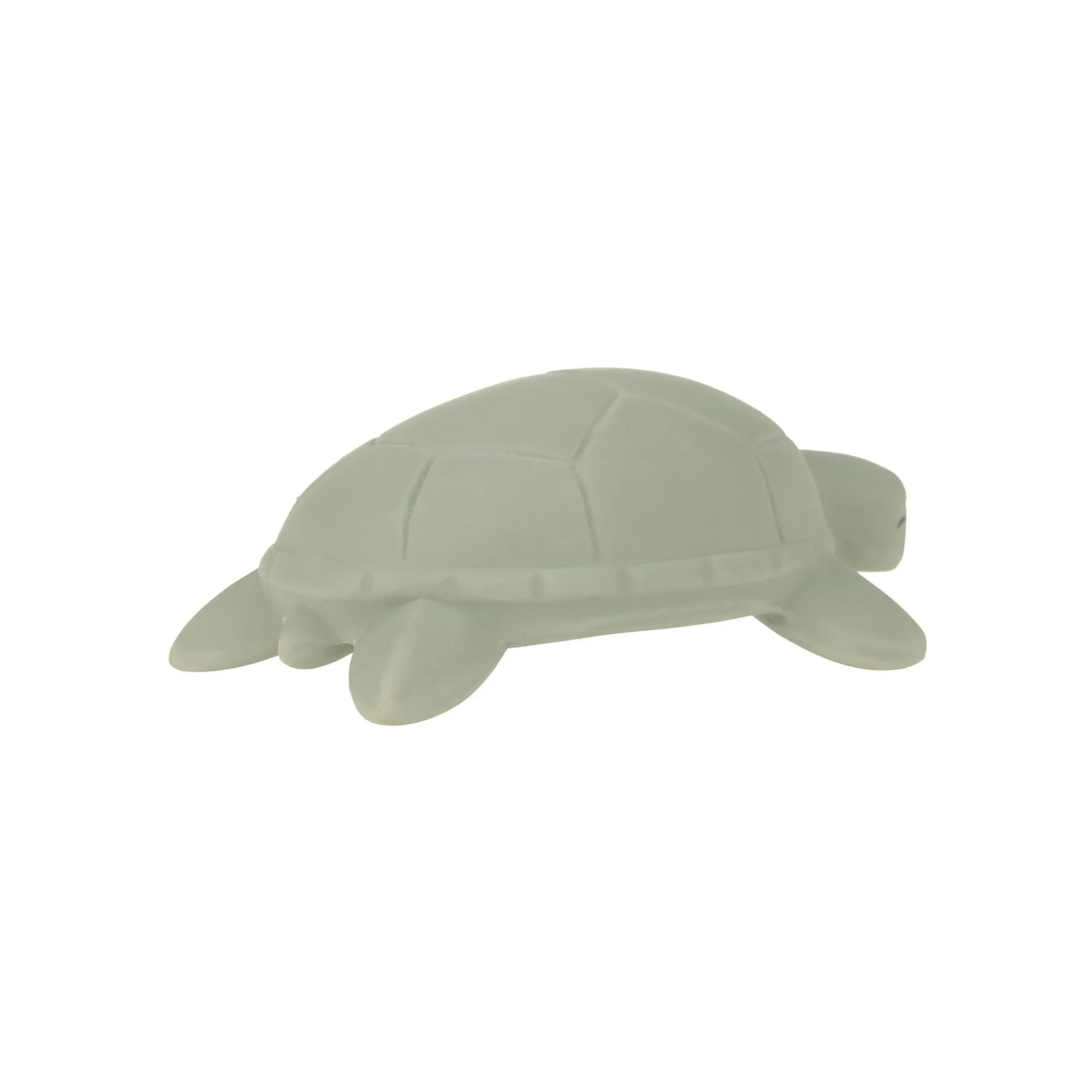 Badewannenspielzeug Naturkautschuk - Schildkröte