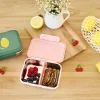 Brotdose Kinder - Edelstahl Lunchbox, Happy Fruits Kirsche