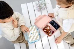 Brotdose Kinder - Edelstahl Lunchbox, Sunny Explorer Rosa