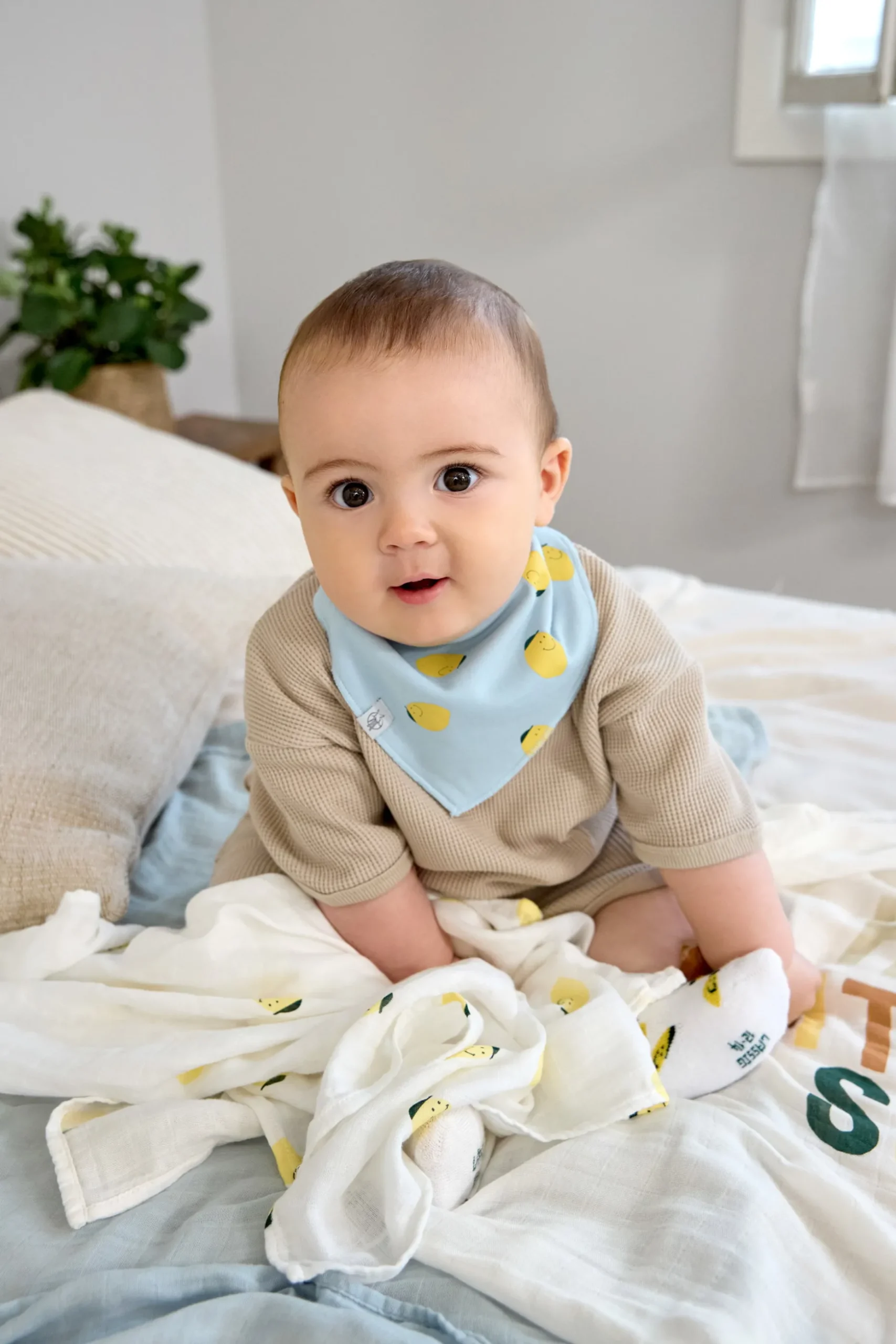 Dreieckstuch Baby (2 Stk) - Bandana, Happy Fruits Zitrone