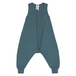 Kinder Schlafoverall 0.5 TOG - Hund, Blau Grün