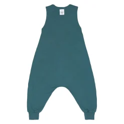 Kinder Schlafoverall 0.5 TOG - Hund, Blau Grün