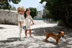 Schwimmanzug Kinder Kurzarm (UV Schutz) - Hund, Grün Weiß